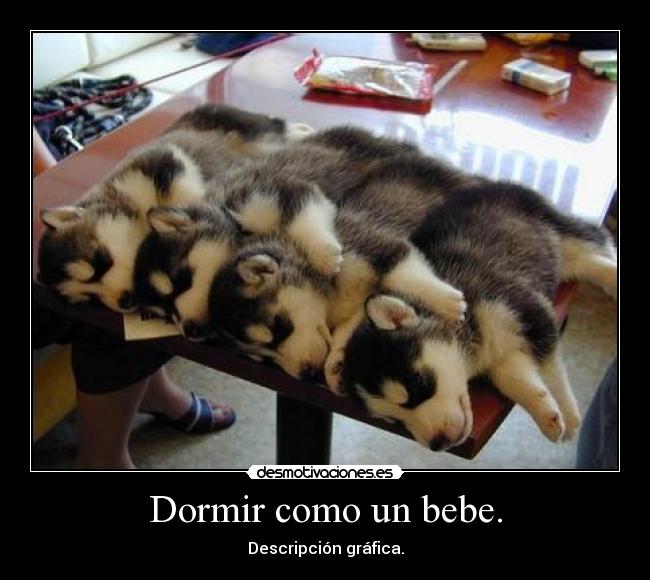 carteles dormir descripcion grafica desmotivaciones