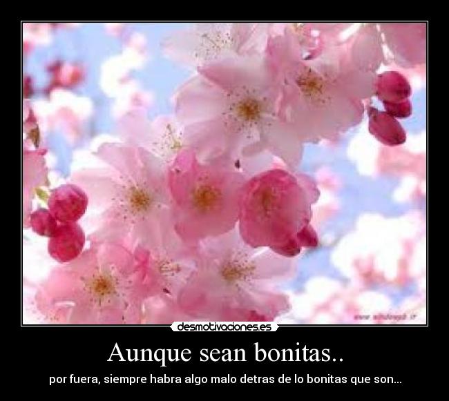 Aunque sean bonitas.. - por fuera, siempre habra algo malo detras de lo bonitas que son...