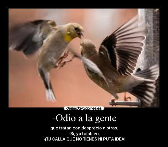 -Odio a la gente - que tratan con desprecio a otras.
-Si, yo tambien.
-¡TU CALLA QUE NO TIENES NI PUTA IDEA!