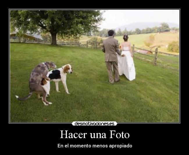 Hacer una Foto -