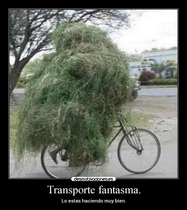 Transporte fantasma. - Lo estas haciendo muy bien.