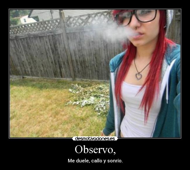 Observo, - 