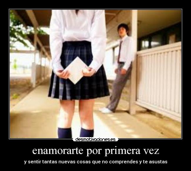 carteles primer desmotivaciones