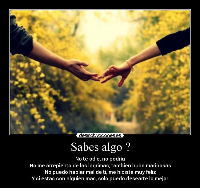 Sabes algo ? - No te odio, no podría
No me arrepiento de las lagrimas, también hubo mariposas
No puedo hablar mal de ti, me hiciste muy feliz
Y si estas con alguien mas, solo puedo desearte lo mejor