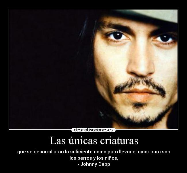 Las únicas criaturas - que se desarrollaron lo suficiente como para llevar el amor puro son
los perros y los niños.
- Johnny Depp