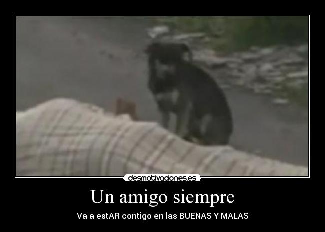 Un amigo siempre -