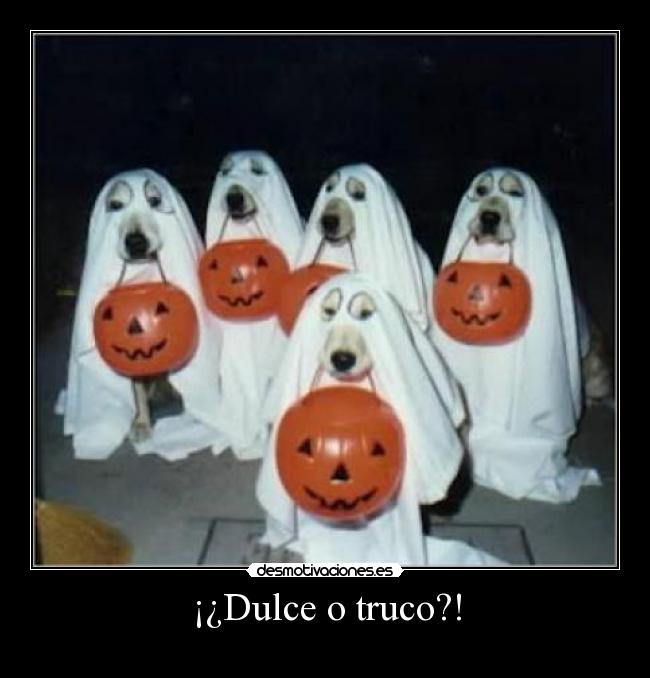 ¡¿Dulce o truco?! - 