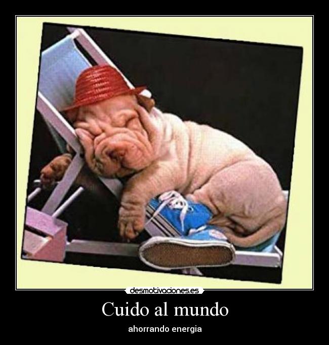 Cuido al mundo -