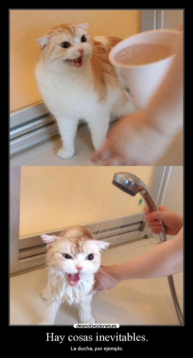 Hay cosas inevitables. - La ducha, por ejemplo.