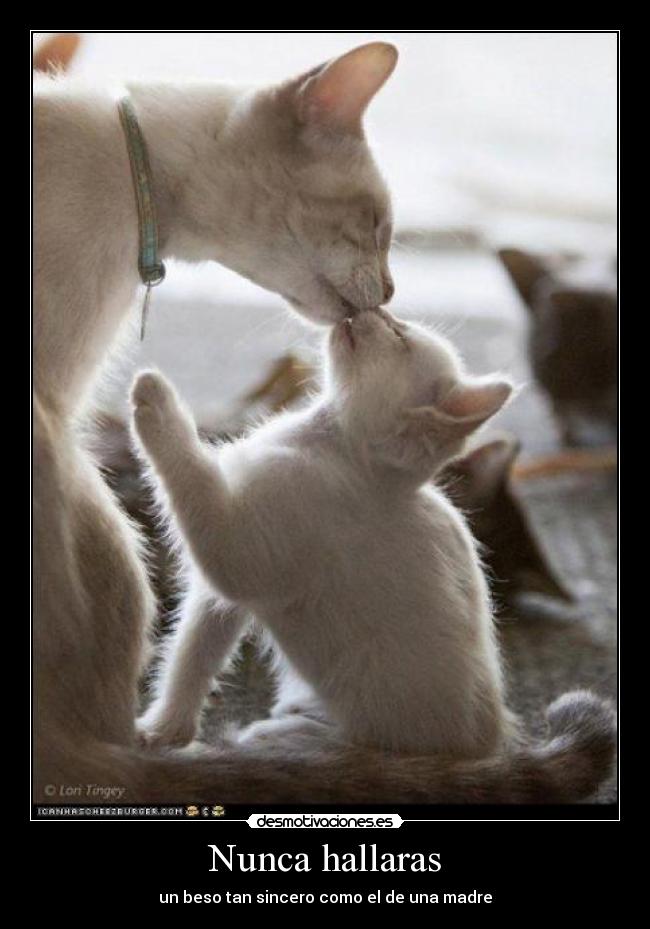 Nunca hallaras - un beso tan sincero como el de una madre