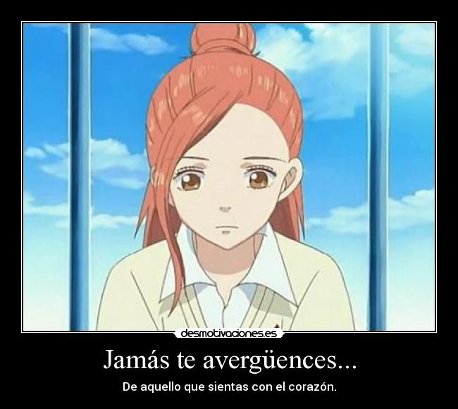 Jamás te avergüences... -