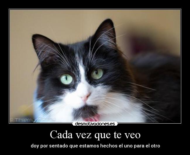 Cada vez que te veo - doy por sentado que estamos hechos el uno para el otro