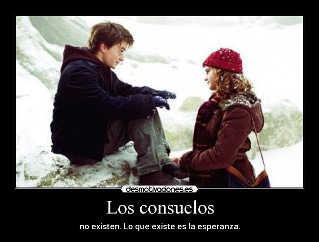 carteles hermioneweasley harry desmotivaciones