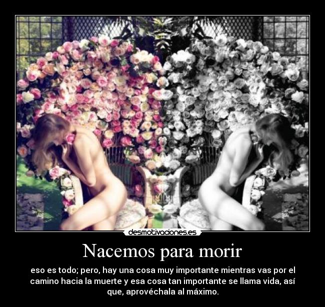 Nacemos para morir -