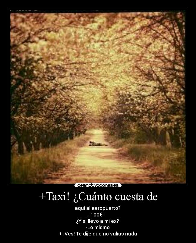 +Taxi! ¿Cuánto cuesta de - aquí al aeropuerto? 
-100€ + 
¿Y si llevo a mi ex? 
-Lo mismo 
+ ¡Ves! Te dije que no valías nada