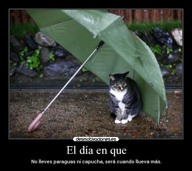 El día en que - No lleves paraguas ni capucha, será cuando llueva más.