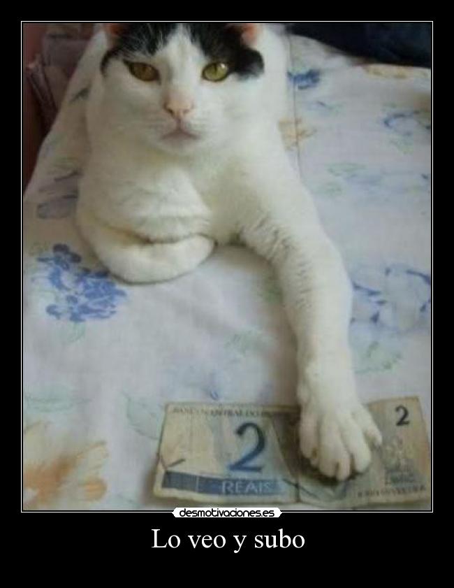 Lo veo y subo -