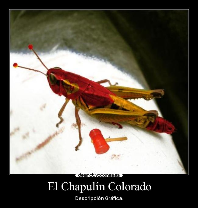 El Chapulín Colorado - Descripción Gráfica.