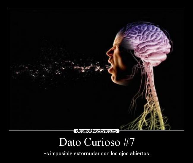 Dato Curioso #7 - Es imposible estornudar con los ojos abiertos.