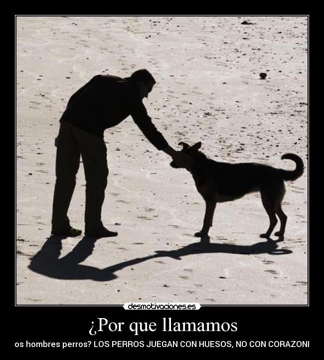 carteles hombres bla bla solo frases desmotivaciones