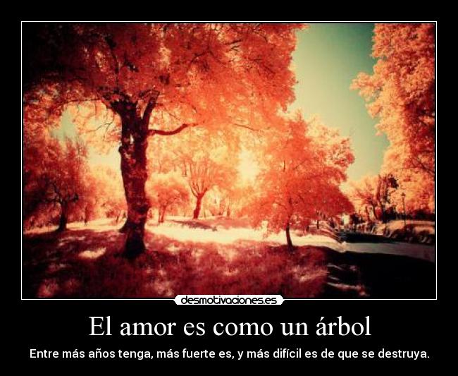 El amor es como un árbol -