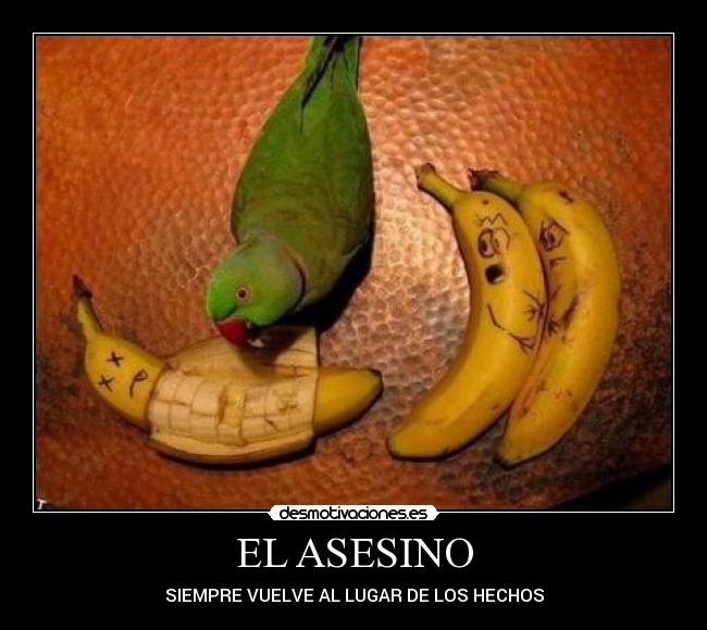 EL ASESINO -