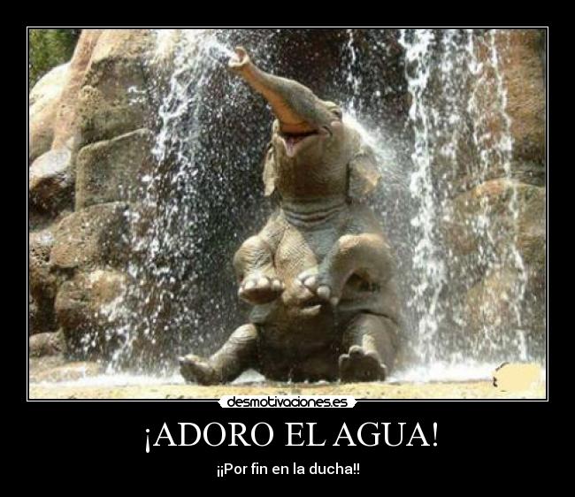 carteles comenten mucho este cartel vamos soldados elefante ducha molaxd desmotivaciones