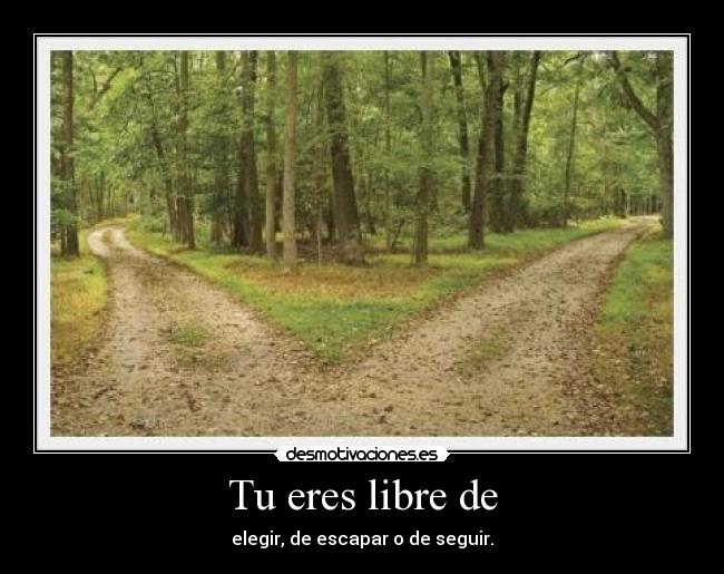 Tu eres libre de -