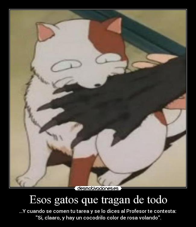 Esos gatos que tragan de todo - 