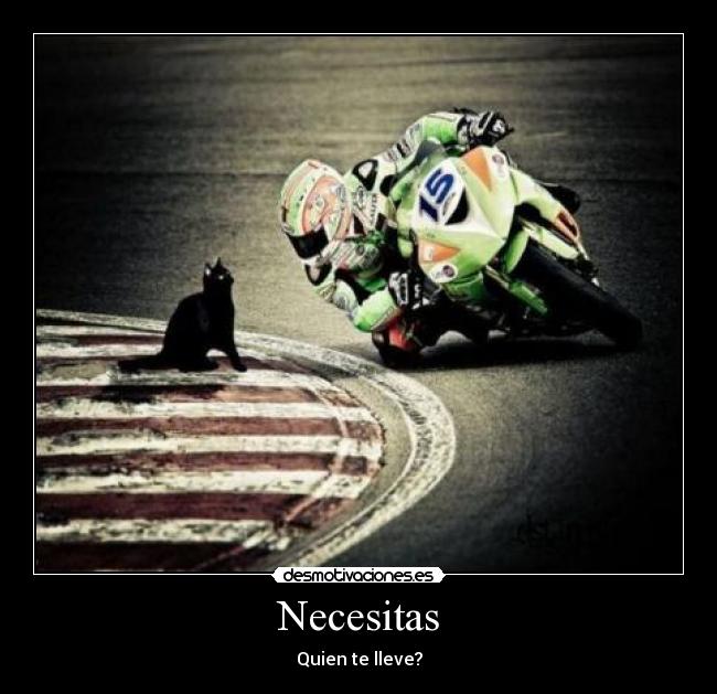 Necesitas -