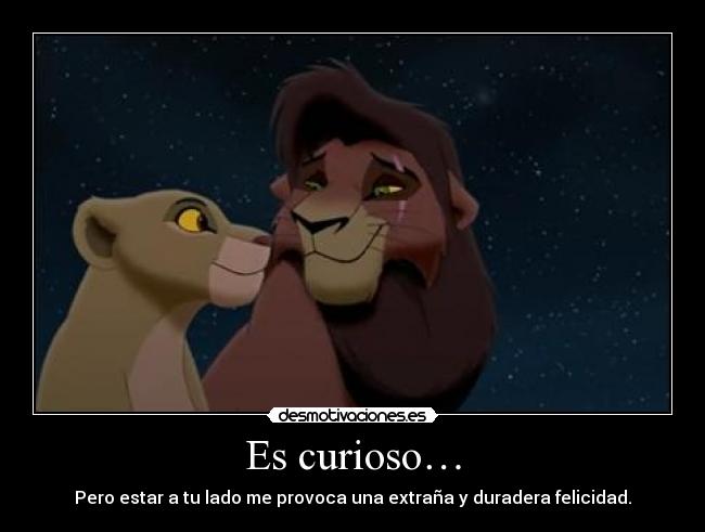 Es curioso… -
