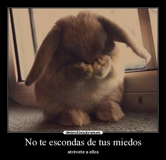 No te escondas de tus miedos - 