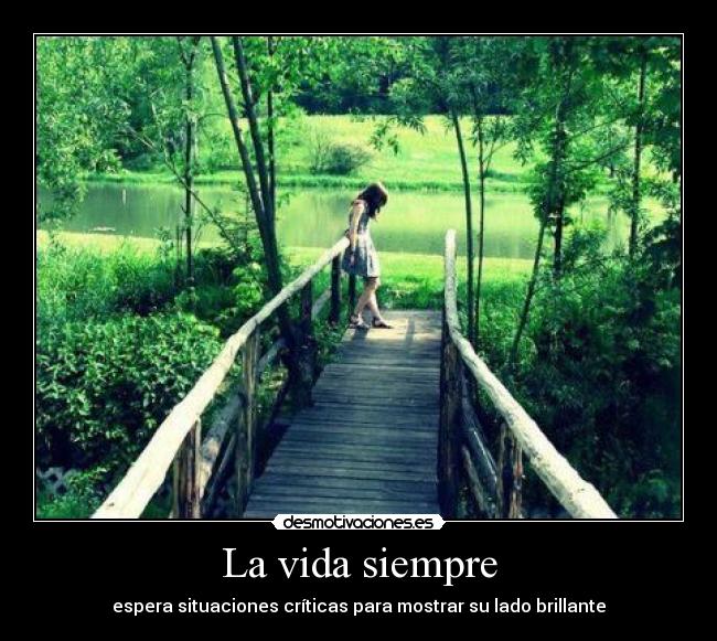 carteles vida aveces pregunto por que hara grande que nadie conoce desmotivaciones