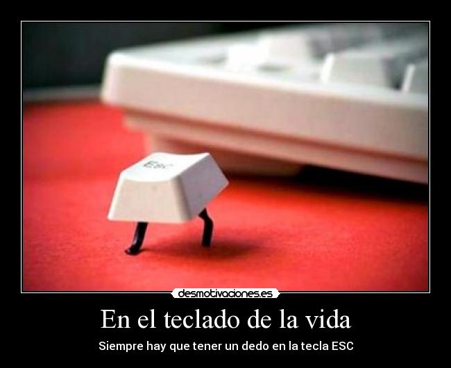 En el teclado de la vida - 
