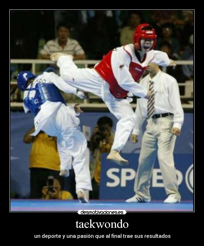 taekwondo -