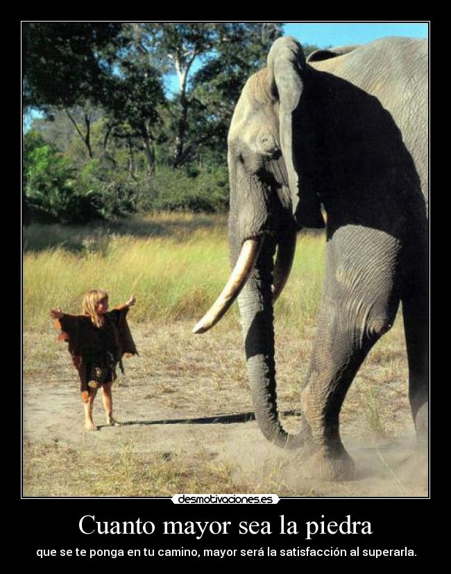 Cuanto mayor sea la piedra - 