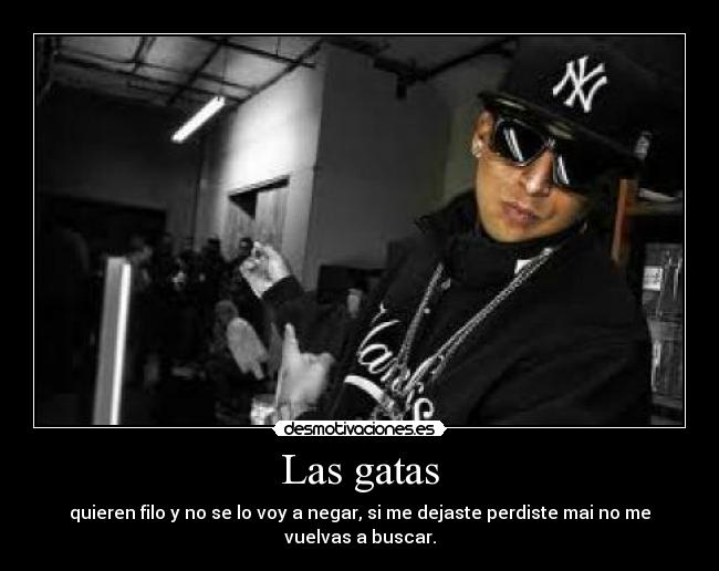 Las gatas - quieren filo y no se lo voy a negar, si me dejaste perdiste mai no me vuelvas a buscar.