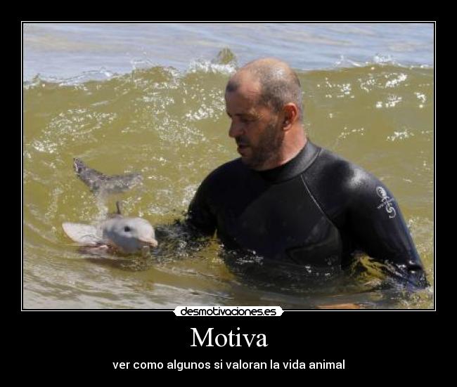 Motiva - 