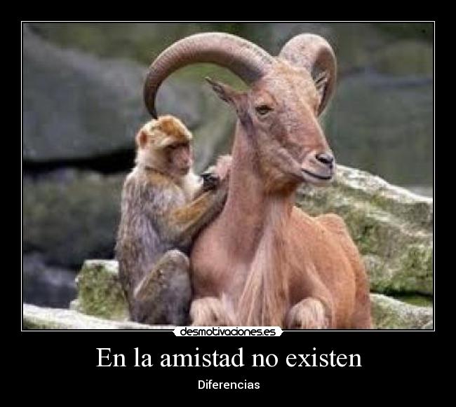 En la amistad no existen - 