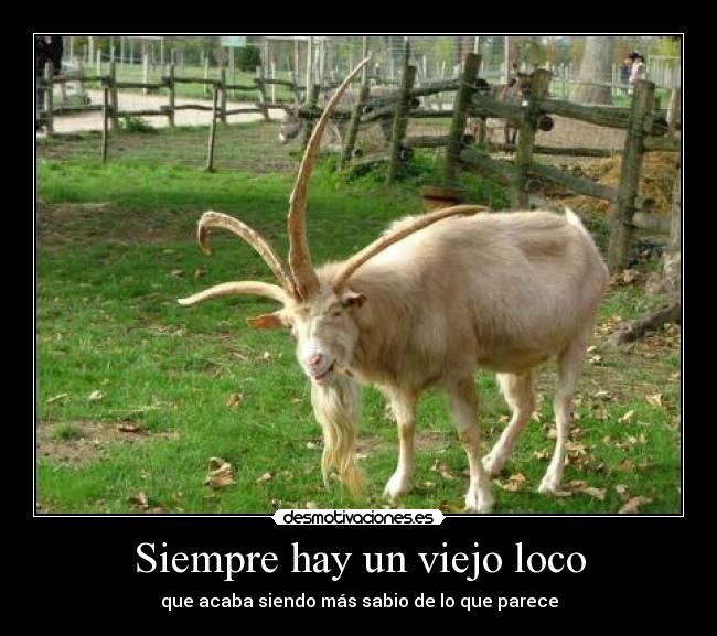 Siempre hay un viejo loco -