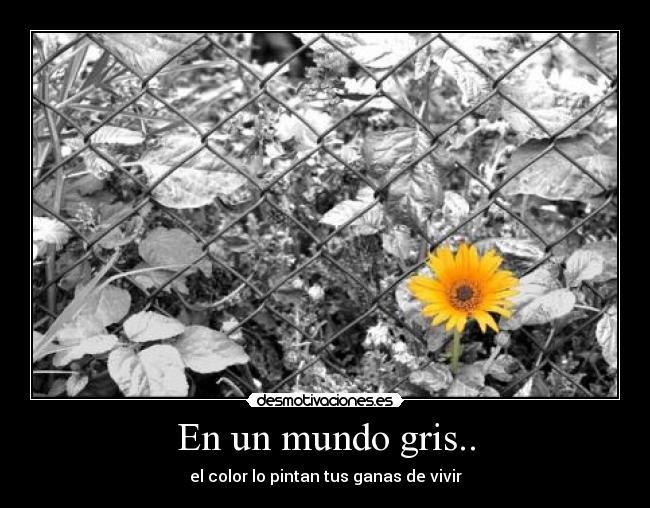 En un mundo gris.. -