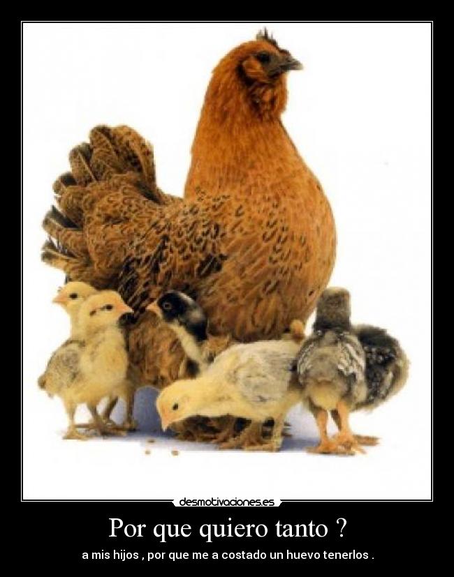 Por que quiero tanto ? - a mis hijos , por que me a costado un huevo tenerlos .