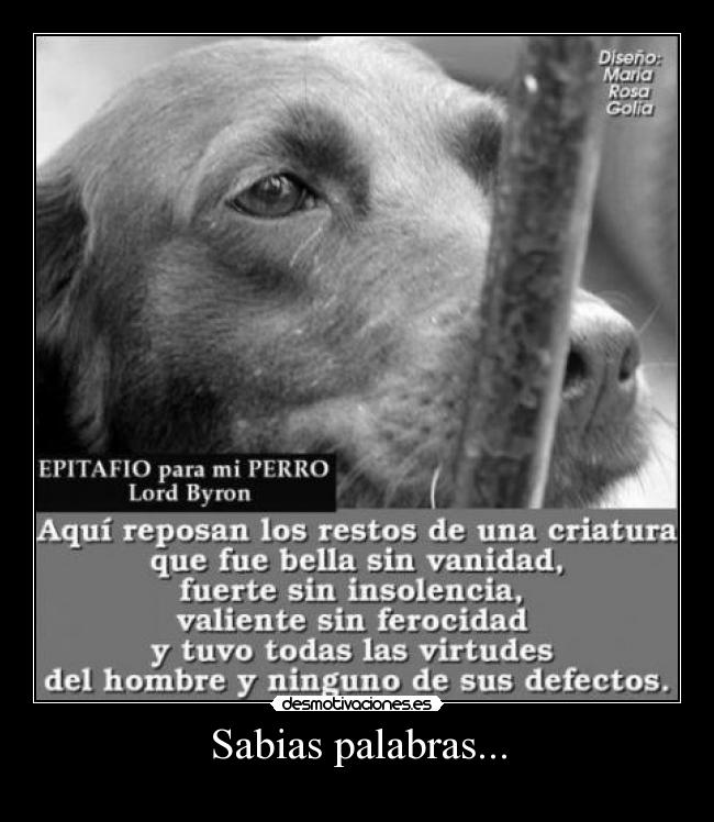 Sabias palabras... -