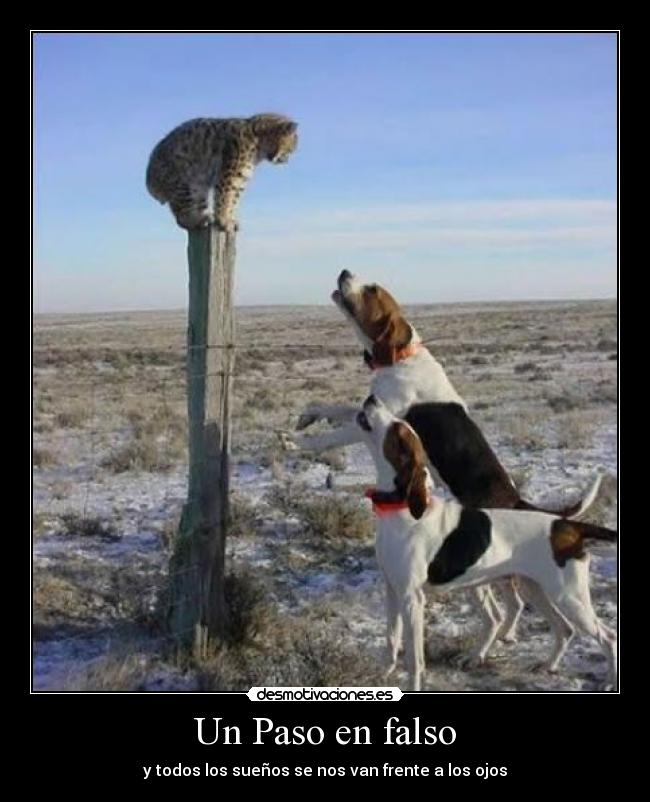 Un Paso en falso - y todos los sueños se nos van frente a los ojos