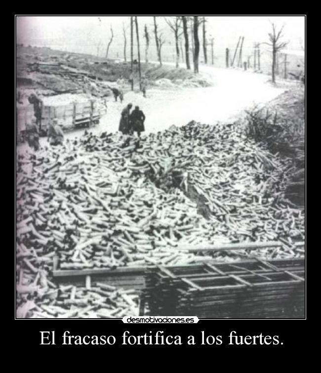 El fracaso fortifica a los fuertes. - 