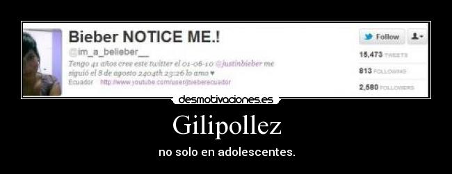 carteles gilipolleces beliebers desmotivaciones