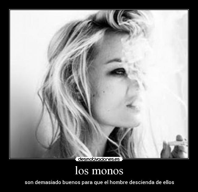 los monos - son demasiado buenos para que el hombre descienda de ellos