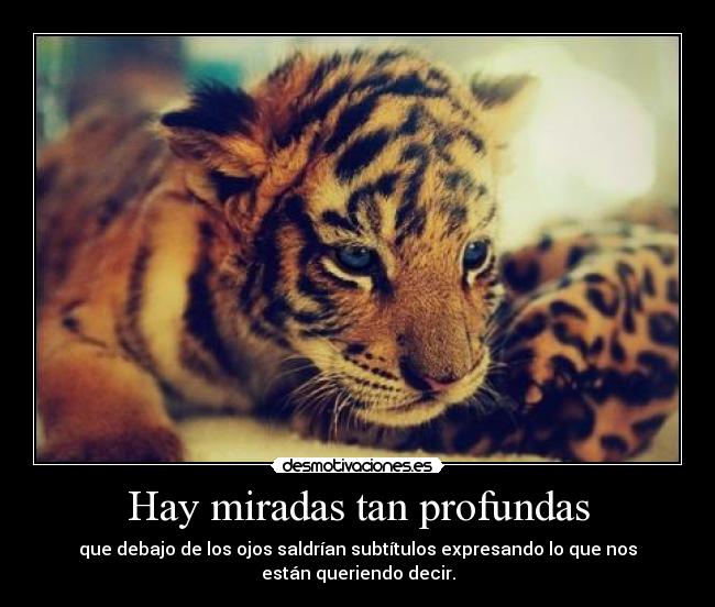 Hay miradas tan profundas - 