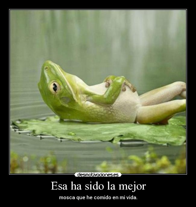 Esa ha sido la mejor - mosca que he comido en mi vida.