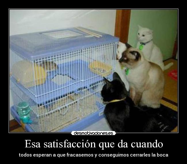 Esa satisfacción que da cuando - todos esperan a que fracasemos y conseguimos cerrarles la boca